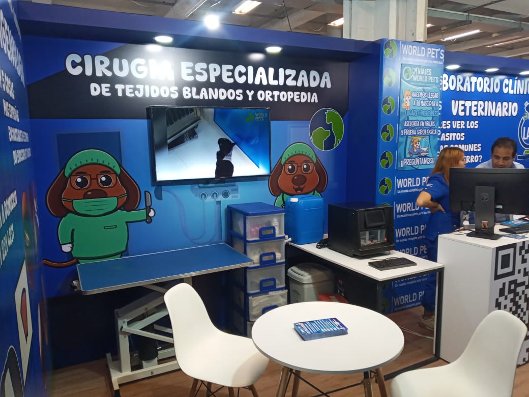 Campaña Activación de Marca